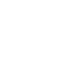 V PAY